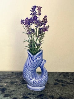 Mini Lavender